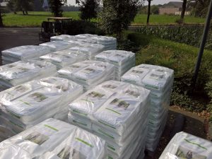 14435284_1834609993492478_3762811310692653653_o1